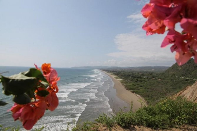 Full Day in Montañita From Guayaquil - Inclusions