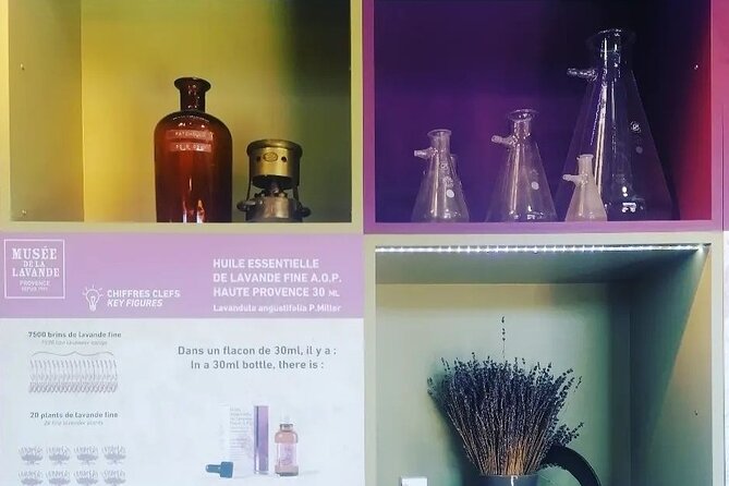 Full Day Lavender Tour From Avignon - Tour Overview