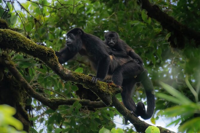 Full Day Nature Experience - Pricing and Guarantees