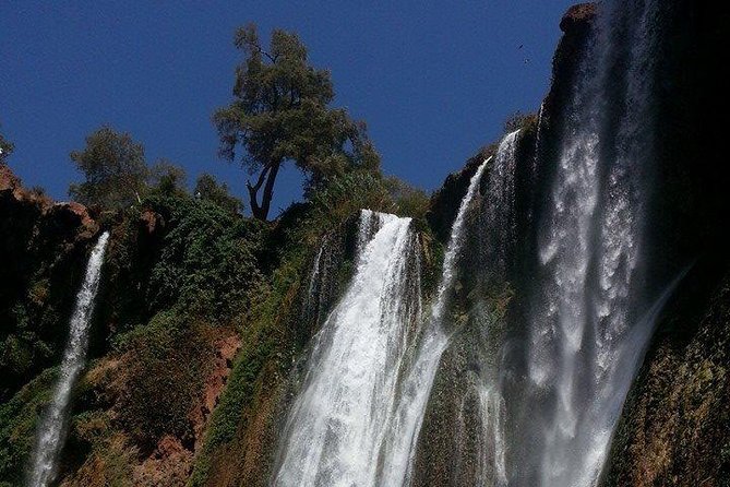 Full-Day Ouzoud Falls Guided Sightseeing Tour From Marrakech - Additional Information