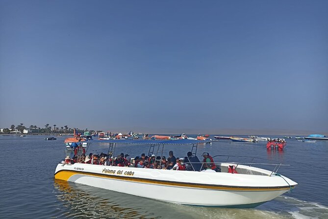 Full Day Paracas, Ica and Huacachina - Ica City Tour
