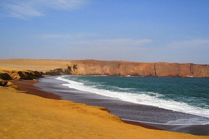 Full Day Paracas - Frequently Asked Questions
