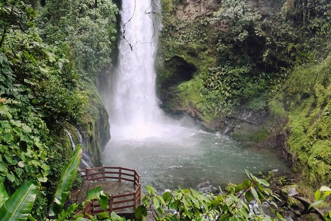 Full Day Poas Volcano, Coffee Tour and La Paz Waterfalls From San Jose - Participant Requirements