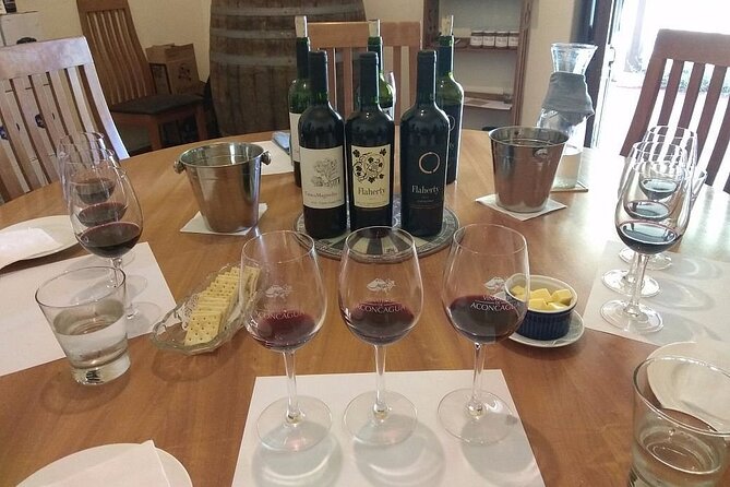 Full Day Private Aconcagua Wine Tour From Santiago - Pricing and Group Size