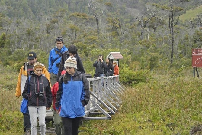 Full Day Private Chiloe National Park Tour Following The Darwin´s Route - Group Size and Experience
