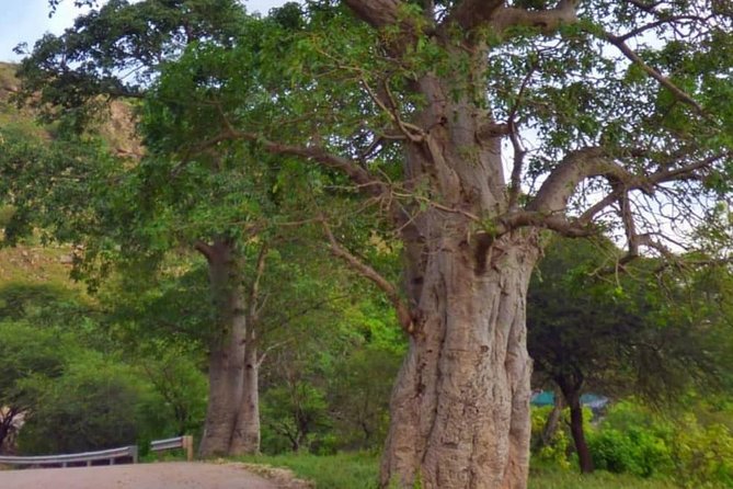 Full Day Private Guided Hiking Tour of Salalah - Booking and Confirmation Process