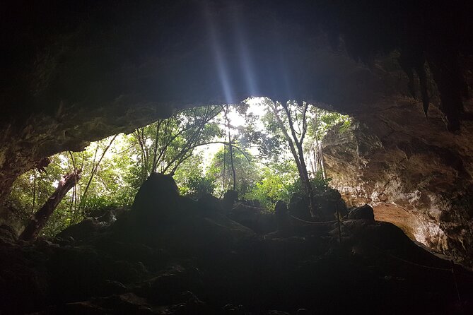 Full Day Private Jozani Forest, Kuza Cave and Kae Sunset Beach - Cancellation Policy