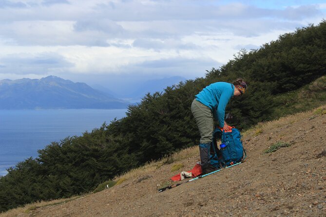 Full Day Private Patagonian Andes Summit Hike - Price: Starting From 3.00