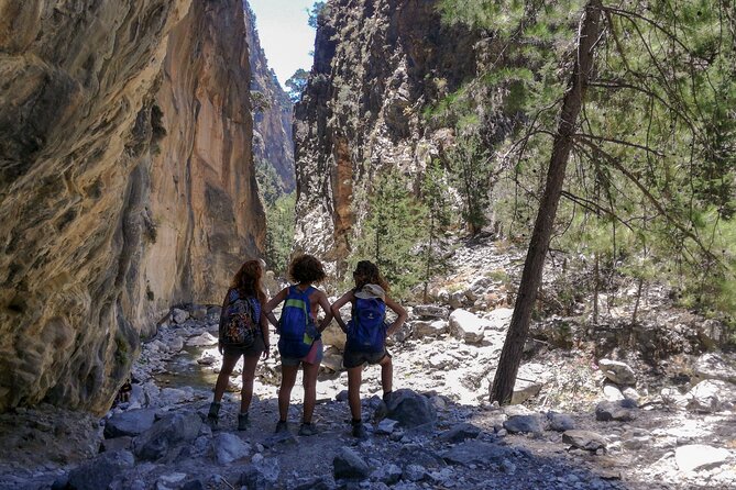 Full-Day Private Samaria National Park Hiking Experience - What to Expect