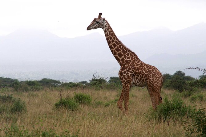 Full-Day Private Serengeti National Park Safari With Breakfast - Additional Services