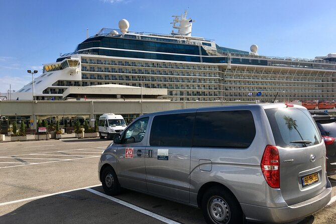 Full Day Private Shore Tour in Sao Paulo From Santos Cruise Port - Accessibility Information