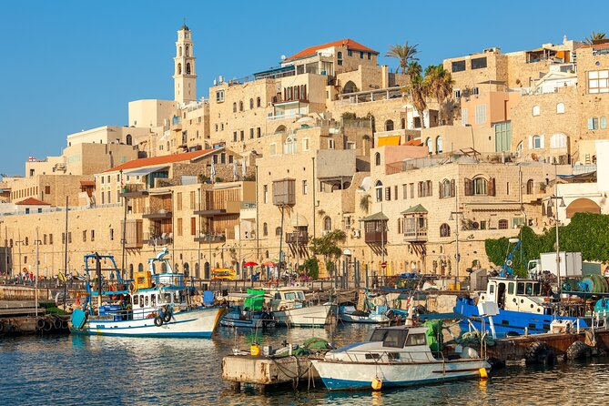 Full Day Private Shore Tour in Tel Aviv From Haifa Cruise Port - Meeting Point