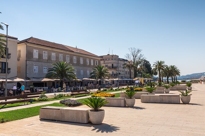 Full Day Private Shore Tour in Tivat From Kotor Cruise Port - Pricing and Booking Details