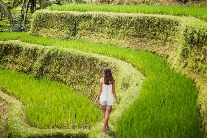 Full-Day Private Tour From Ubud Temples to Rice Terraces - Cancellation Policy