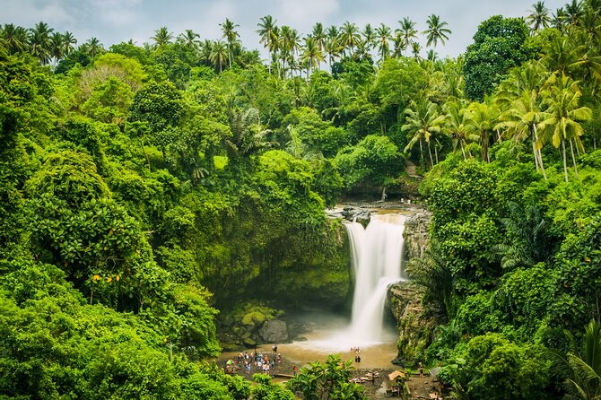 Full Day Private Tour of Bali Waterfalls: Tibumana, Tukad Cepung - What to Expect