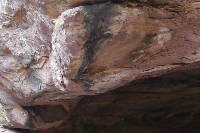 Full-Day Private Tour to Bhojpur and Bhimbetka Caves From Bhopal With Lunch - Inclusions