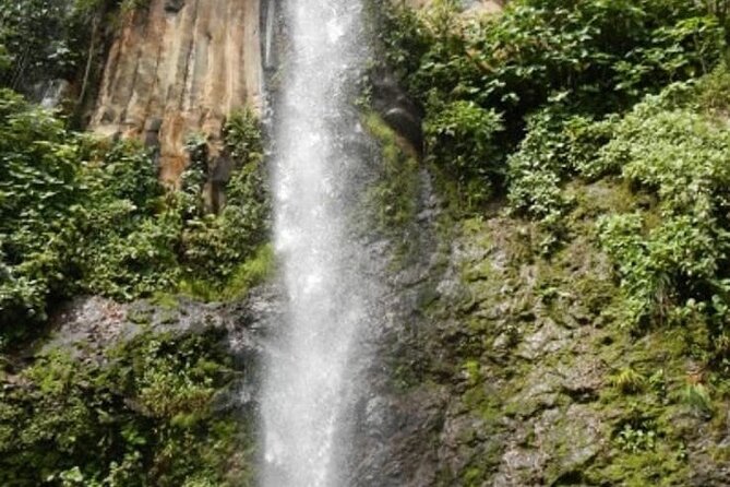 Full Day Private Tour to Buena Vista With Lunch - Participation Details