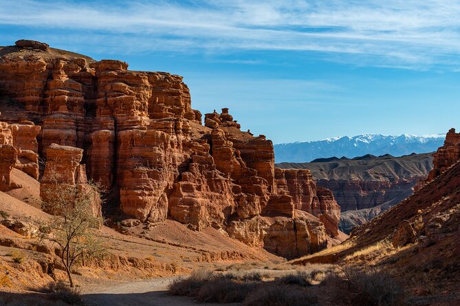 Full Day Private Tour to Charyn Canyons - Cancellation Policy
