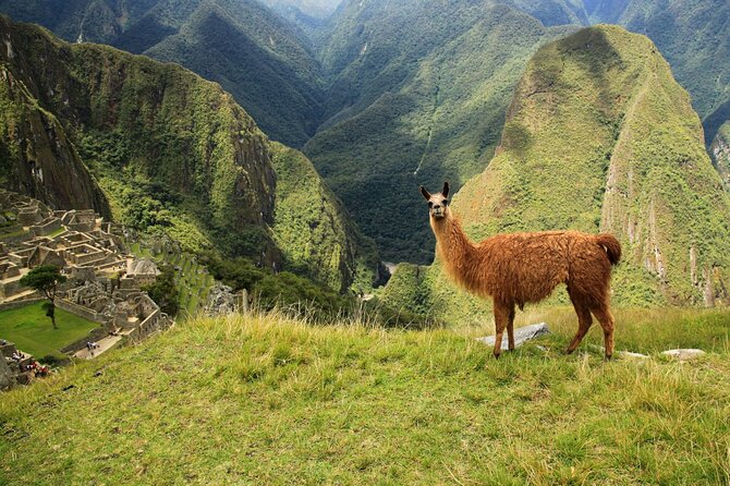 Full Day Private Tour to Machu Picchu - Transportation and Pickup