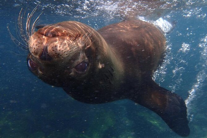 Full Day Santa Fe and Playa Escondida With Snorkeling and Lunch Included - Important Booking Information