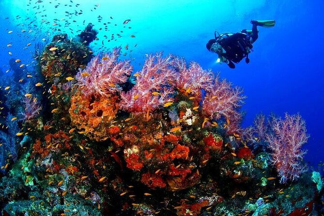 Full Day Scupa Diving and Snorkeling Sea Trip Activity - Hurghada - Equipment and Services Provided