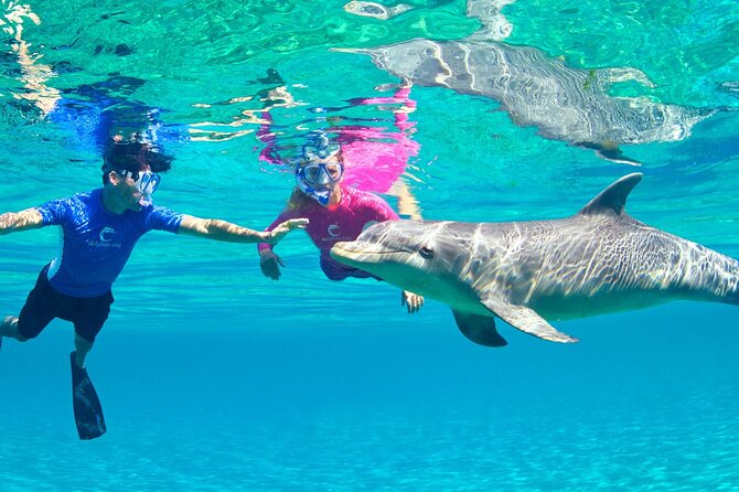 Full Day Snorkeling and Dolphin Watching in Hurghada - Cancellation Policy