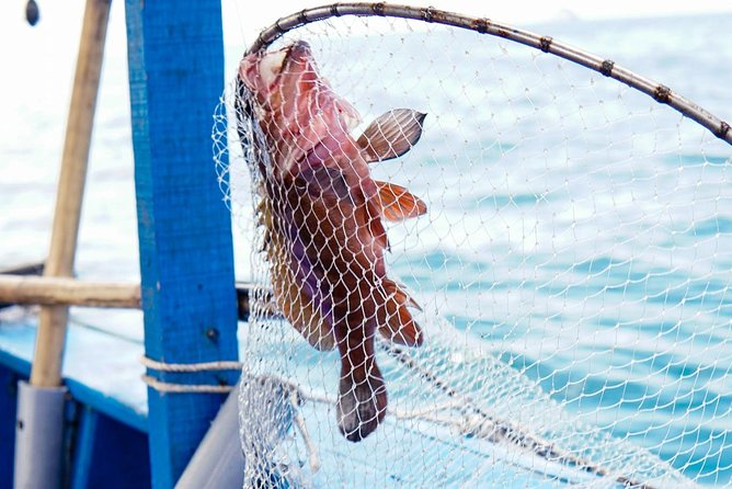 Full-day Snorkeling & Fishing Tour In Southern Phu Quoc Island - Frequently Asked Questions