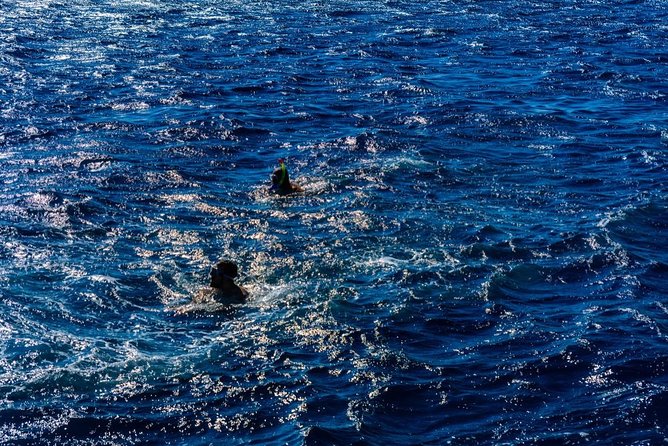 Full-Day Snorkeling Trip at Paradise Island in Egypt - Pricing and Reservations