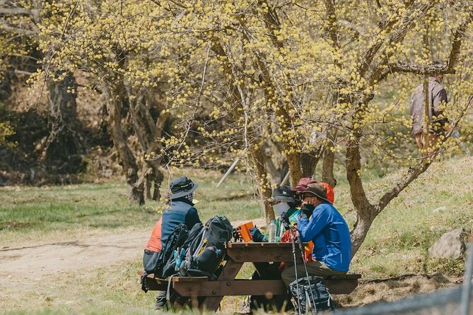 Full Day Suwon Hwaseong and Yellow Spring Flower Festival Tour - Tour Details