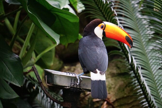 Full Day Tour Around Minca (From Tayrona Park) - Cancellation Policy