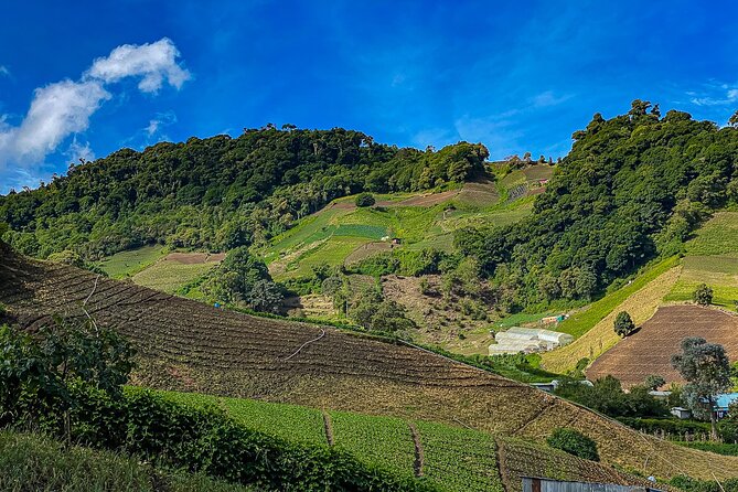 Full-Day Tour in Chiriqui Highlands With Lunch - Meeting Point Details