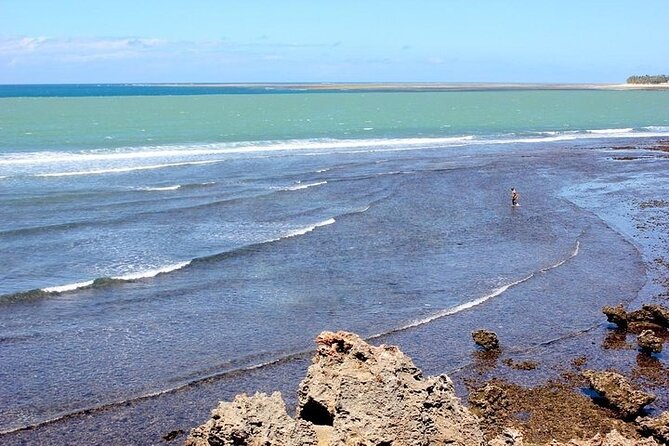 Full Day Tour Mombasa - Additional Information