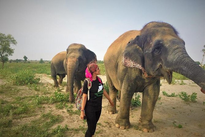 Full Day Tour of Elephant Conservation and Bear Rescue Center - Booking and Cancellation Policy