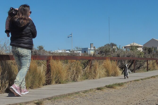Full Day Tour Penguin Walk in Punta Tombo - Inclusions and Costs