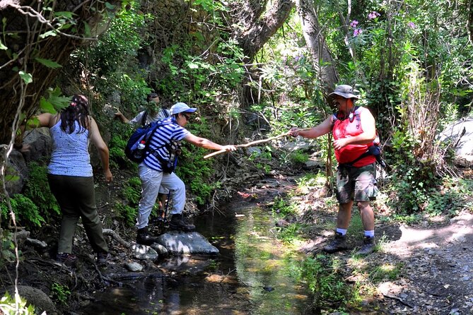 Full Day Tour: Richtis Waterfall, Mochlos & Voulisma Beach Escape - Booking and Confirmation