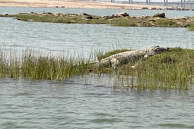 Full-Day Tour to Alligator Eco Park in Morena From Gwalior - Additional Information