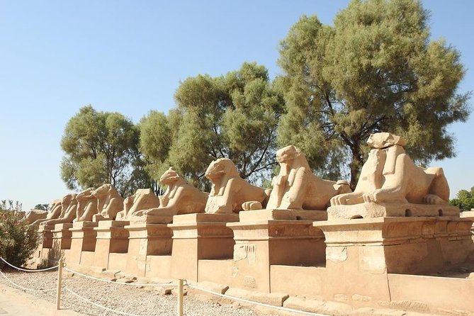 Full Day Tour to East and West Banks of Luxor - West Bank Highlights