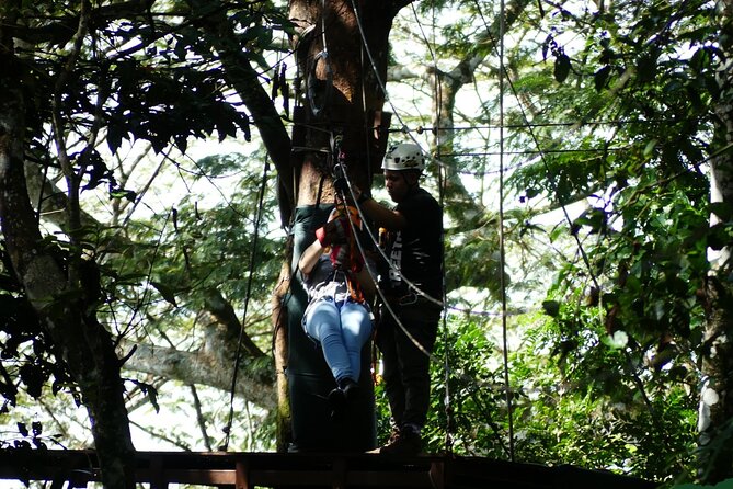 Full Day Tour to Miraflores Gates and Gamboa Zip Line - Transportation Details