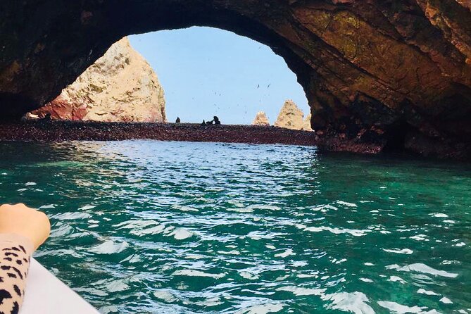 Full Day Tour to Paracas and Ica From Lima - Inclusions and Exclusions