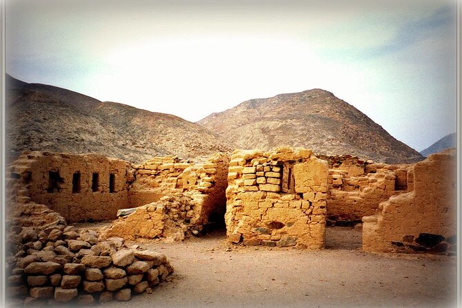 Full Day Tour to Paracas and Tambo Colorado National Reserve - Meeting and Pickup
