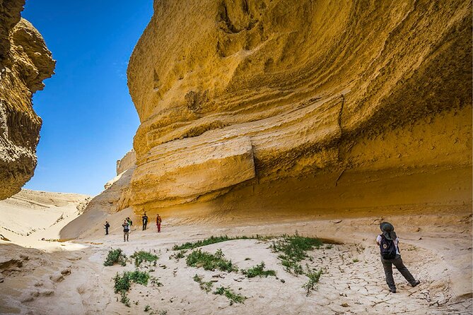 Full Day Tour to the Canyon of the Lost From Huacachina - Inclusions and Exclusions
