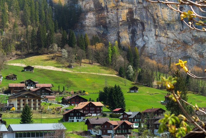 Full Day Tour to Zürich Including Rhine Falls - Booking Process
