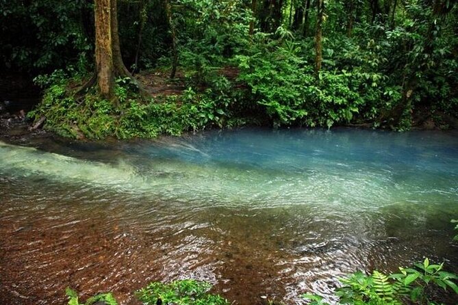 Full Day Tour Tubin Arenal La Fortuna Volcano Waterfall - Photo Opportunities