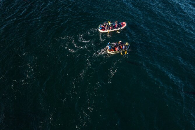 Full Day Tour With Canoes in Puerto Almanza From Tierra Del Fuego - Frequently Asked Questions
