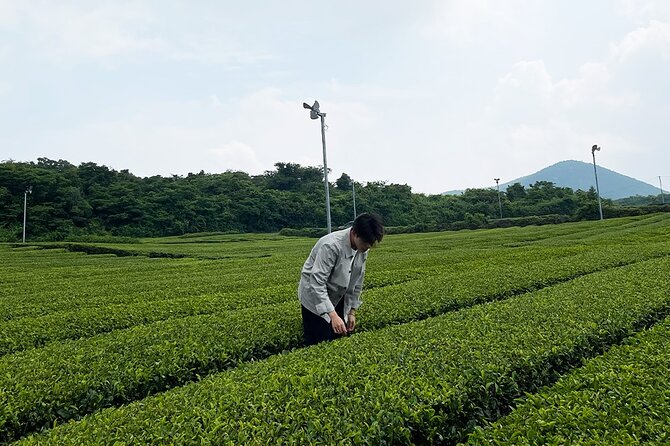 Full Day Tour With Jejus West and East Treasure in Jeju Island - Inclusions and Exclusions