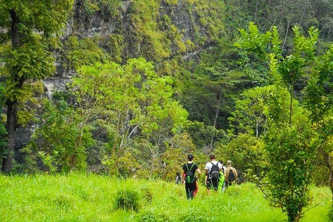 Full Day Towards the El Tambo Waterfall (Private) - Pickup Details and Additional Info