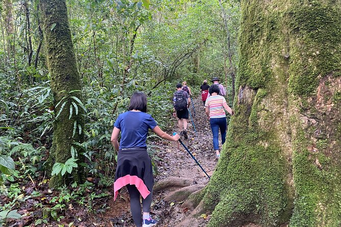 Full Day Trekking on Langbiang Mountain
