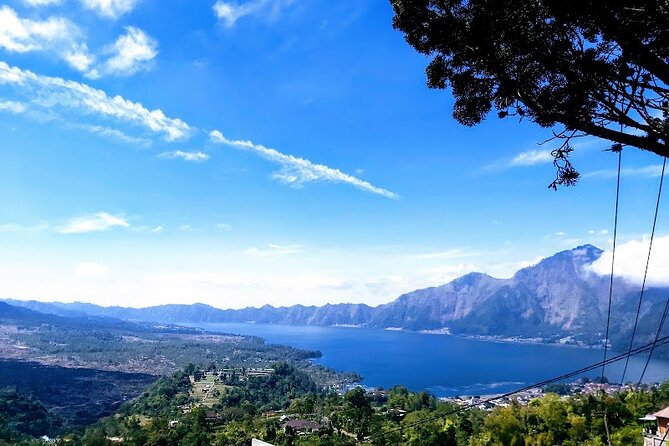 Full Day Trip Bali Bird Park And Kintamani - Additional Details