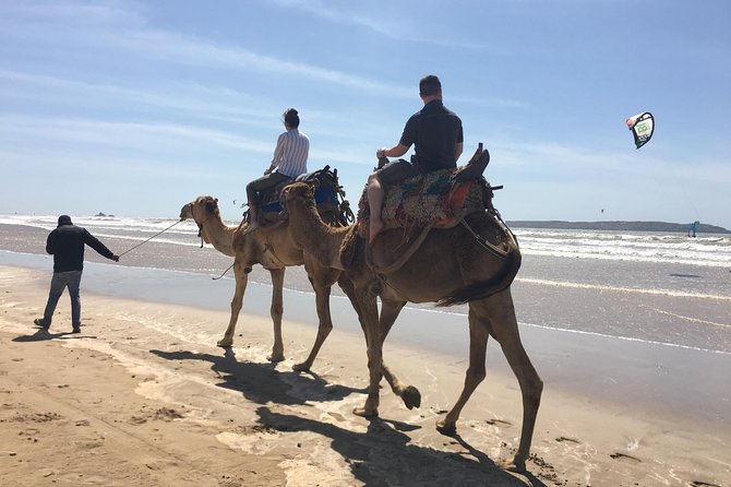 Full Day Trip To Essaouira Mogador From Marrakech - Camel Ride Experience