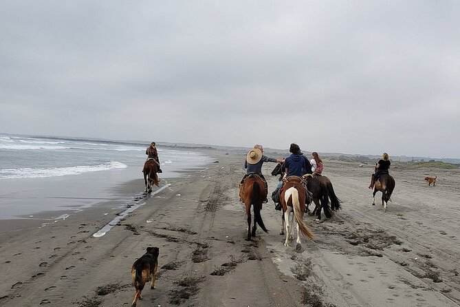 Full Day Valparaiso, Winery ,Dunes Horse Ridding & BBQ - Santiago - The Sum Up